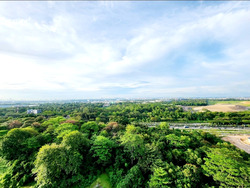 Parc Botannia (D28), Condominium #583843951